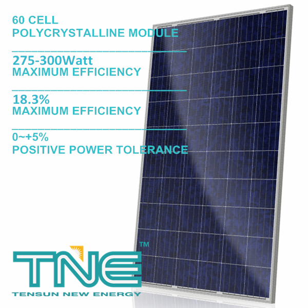 60Cells Polycrystalline